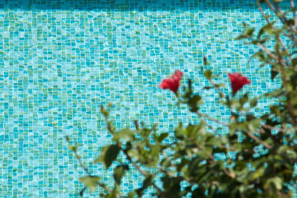 Magnolia Apartments Fiskardo Exterior foto